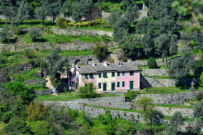 Villa Olivari - apt la Lavanda